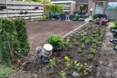 Gazon_Aanleggen_1.
