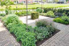 Tuinberegening_7.